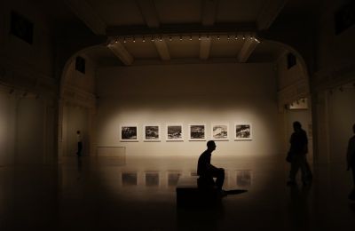 comisario de exposición