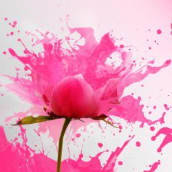 fotografía especializada en obras de arte