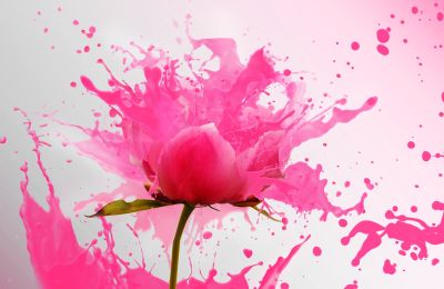 fotografía especializada en obras de arte